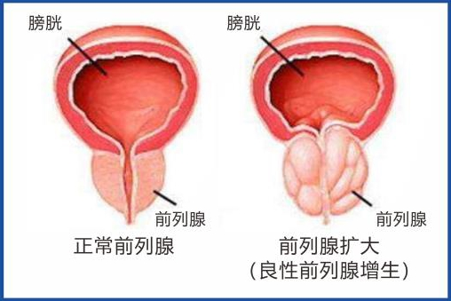 2345截图20230403103604